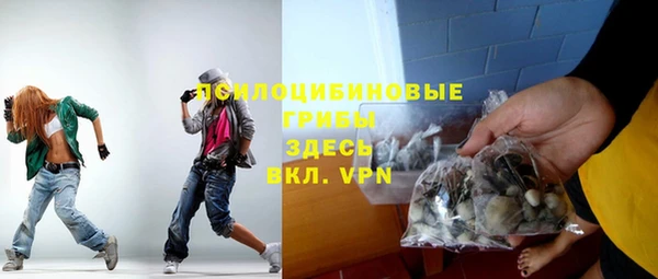 ешки Белокуриха