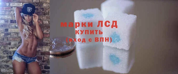 ешки Белокуриха