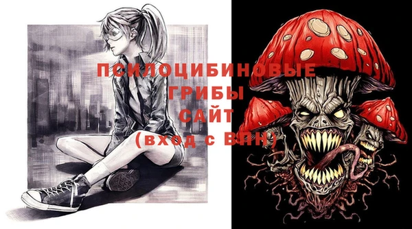 ешки Белокуриха