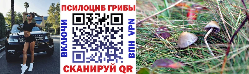 Галлюциногенные грибы Cubensis  магазин  наркотиков  Бутурлиновка 